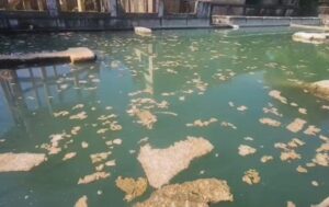 जगदलपुर