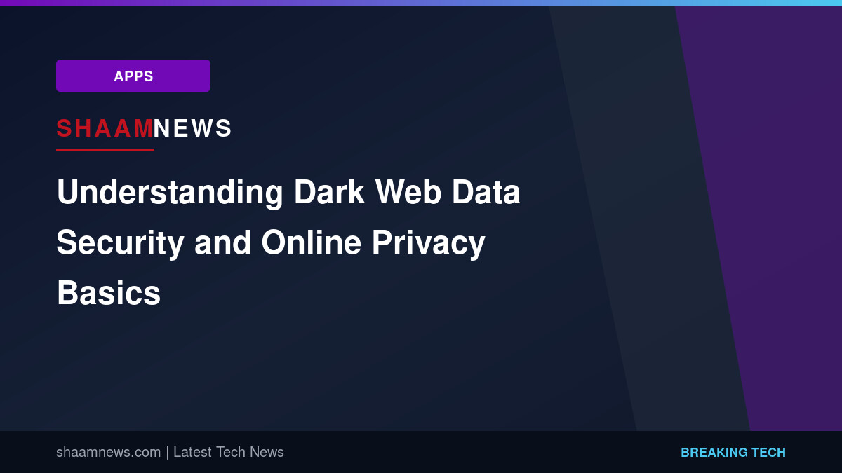 Understanding Dark Web Data Security and Online Privacy Basics